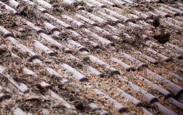 Rableyheath roof cleaning companies