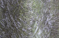 Rableyheath fibreglass roof work